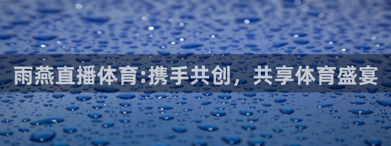 雨燕直播体育:携手共创，共享体育盛宴
