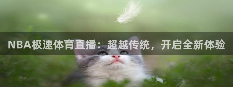 NBA极速体育直播：超越传统，开启全新体验