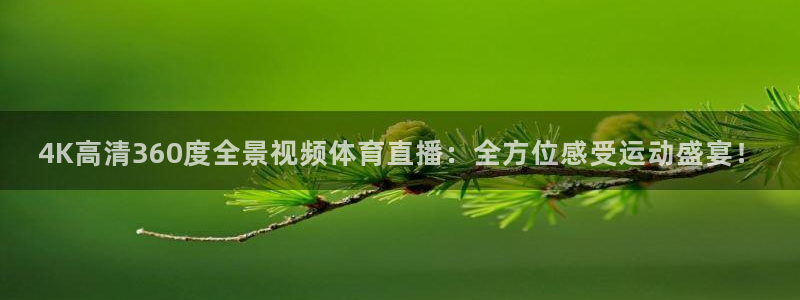 4K高清360度全景视频体育直播：全方位感受运动盛宴！