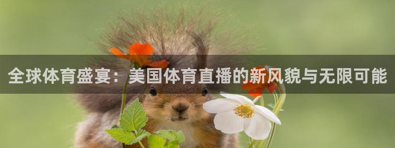 全球体育盛宴：美国体育直播的新风貌与无限可能